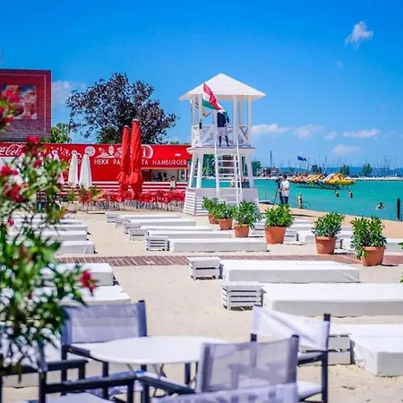 Levi's Wellness Daire *