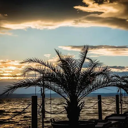 Daire Levi's Wellness