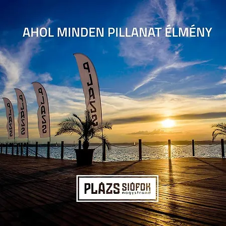 Levi's Wellness Daire *